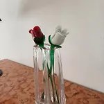 La Piccola Via Delle Rose *