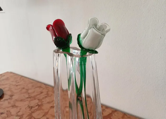 La Piccola Via Delle Rose *